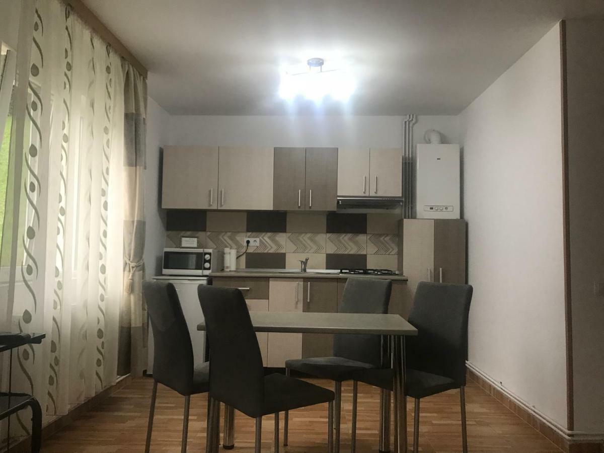 Appartamento Garsoniera Family Buşteni Esterno foto