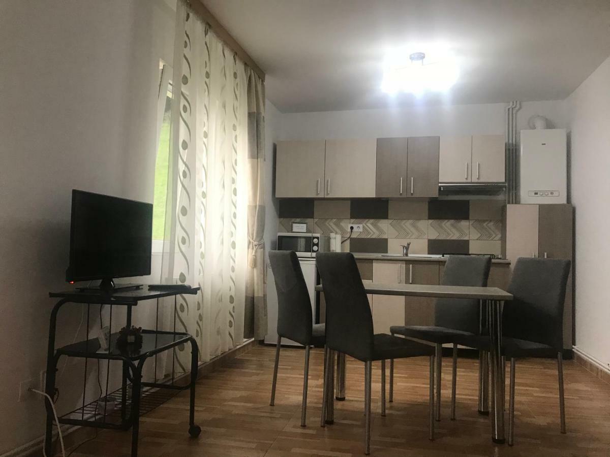 Appartamento Garsoniera Family Buşteni Esterno foto