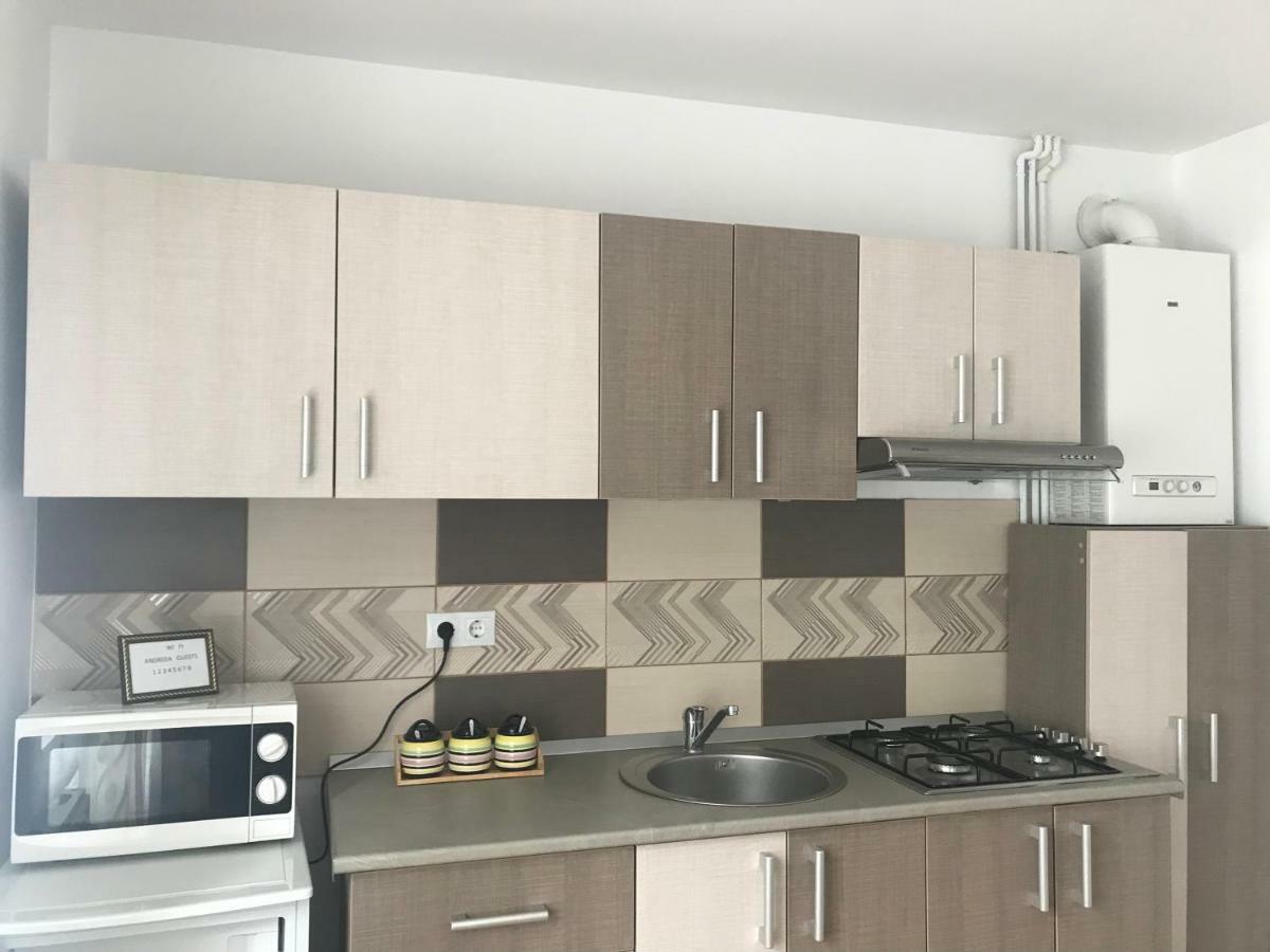 Appartamento Garsoniera Family Buşteni Esterno foto